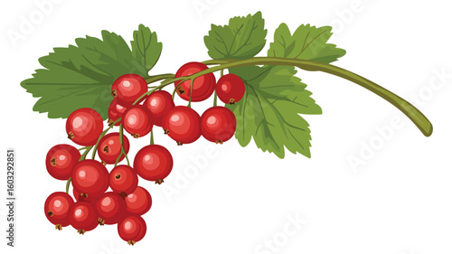 Fresh Red Currant with Leaf on Branch - Vibrant Fruit Photography