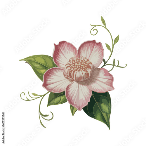 Chameleon Flower Jas vector on white background.01