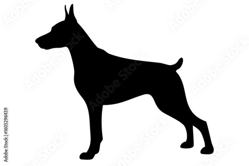 Tan Doberman Dog Silhouette animal