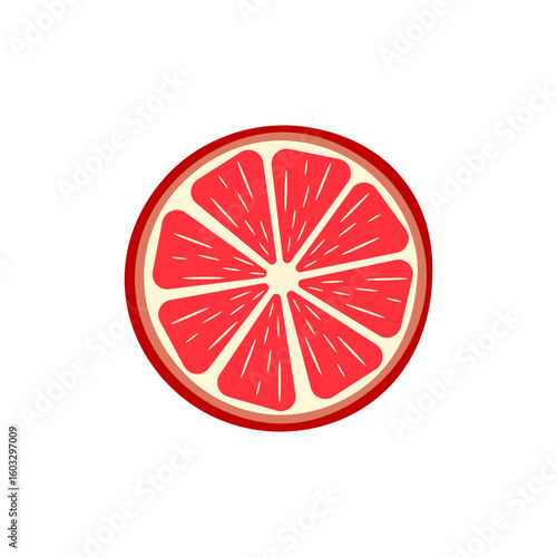 Citrus fruit slices. Round slices of orange, lemon, lime, grapefruit and halves. Vector illustration	
