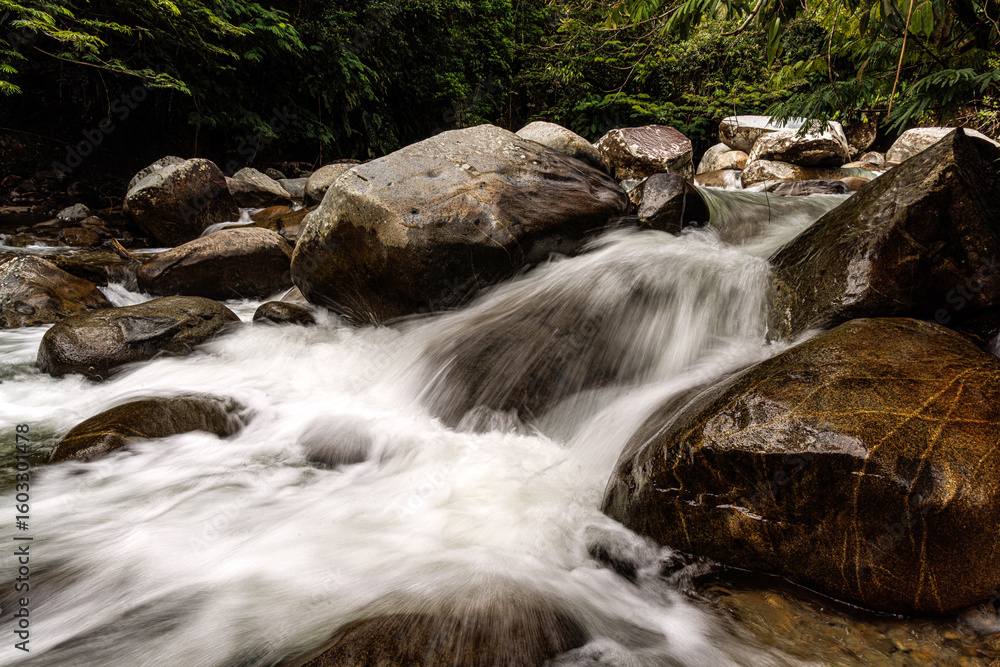 Naklejka premium Río de montaña con aguas blancas y rápidas fluyendo entre grandes rocas. Paisaje natural exuberante en San Rafael, Antioquia, Colombia. La fuerza del agua y la quietud de la piedra en un ecosistema vi