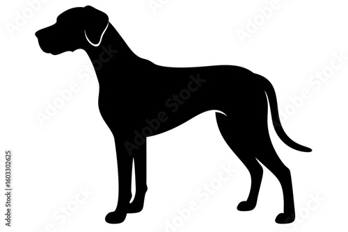 Great Dane Dog Silhouette on White Background canine