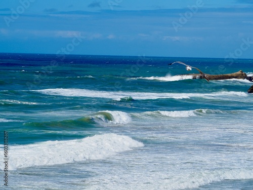 Biarritz côte basque 