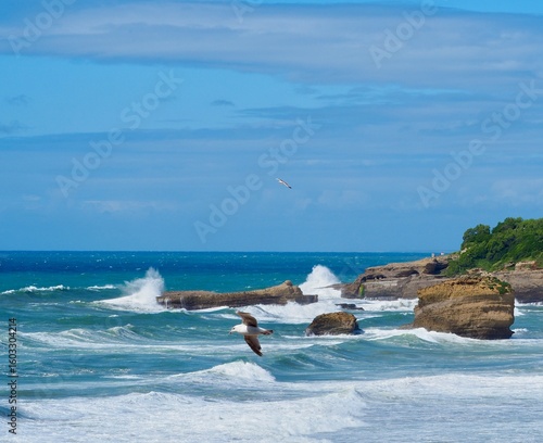 Biarritz côte basque 