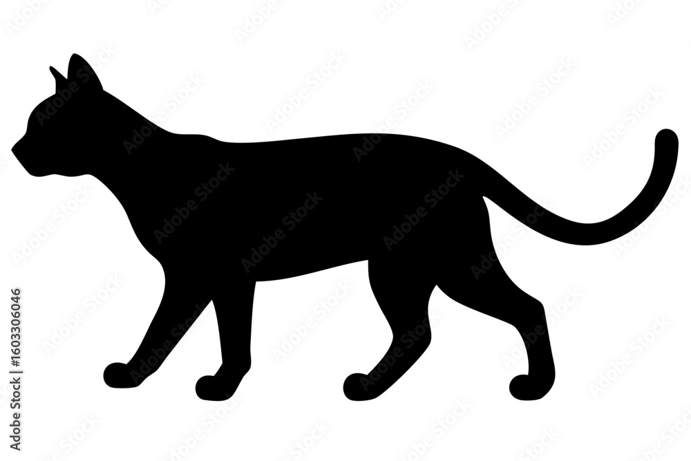 Fototapeta premium White Bengal Cat Silhouette animal feline