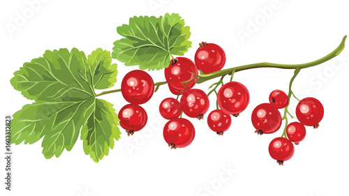 Fresh Red Currant with Leaf on Branch - Vibrant Fruit Photography