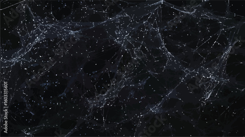 Intricate Spider Web Pattern on Black Background