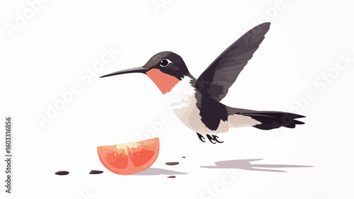Elegant Hummingbird Wildlife Hovering Image