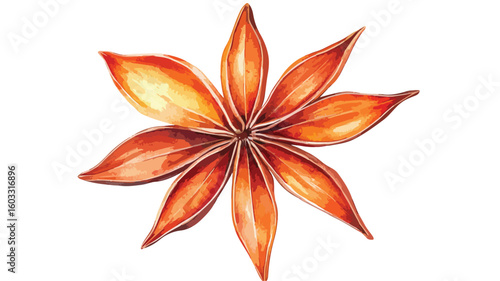 Star Anise Watercolor Illustration