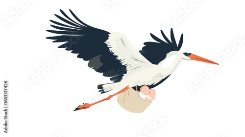 Stork Carrying Baby in Flight