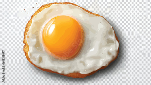 Perfect Sunny Side Up Egg Illustration