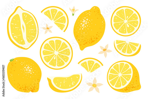 Set of whole lemons and slices with flowers isolated on transparent background. Fresh citrus fruit. Ingredient for making lemonade. Vitamin C healthy food. Hand drawn vibrant illustration in flat