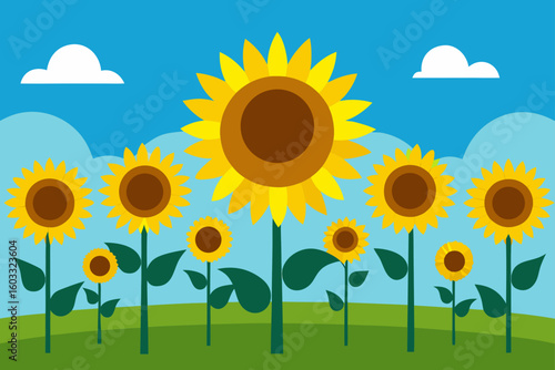 Sunflower Field Glow
