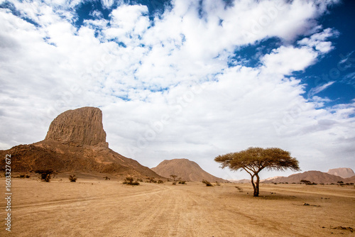 A breathtaking panoramic view from the Hoggar Desert in southern Algeria. On the left stands a towering rock formation, like a silent guardian of the land, while on the right, a lone acacia tree stret