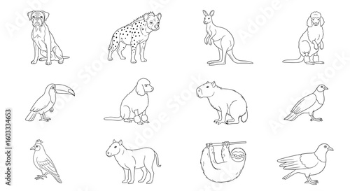 Collection of outlined animals including mammals and birds rendered in a line art style illustration