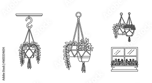 Line art illustration featuring hanging plants and a window box with plants indoors displayed nicely