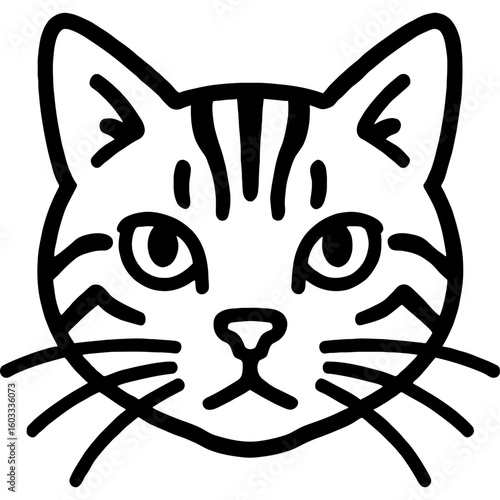 American shorthair cat head front view outline icon vector