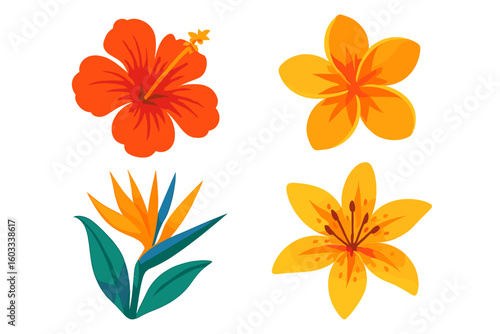 Tropical flower vector set. Hibiscus, plumeria, bird of paradise, lily illustration. Exotic botanical floral graphic collection. Summer jungle nature design elements isolated.