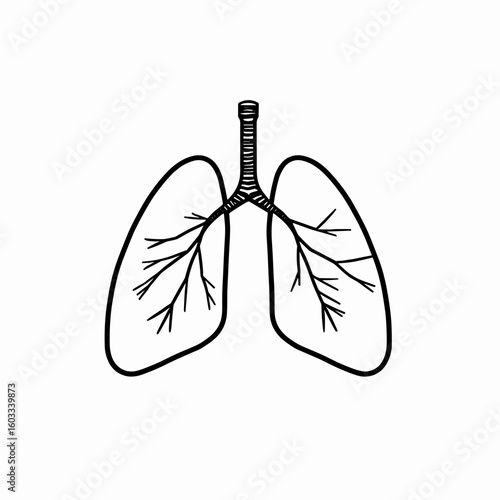 Illustration of human lungs showcasing branching bronchi, representing anatomy and health, in a simple design