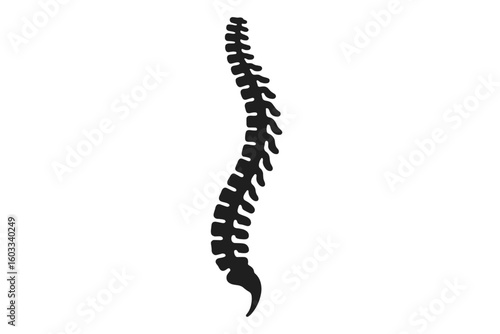 Human spine silhouette vector icon. Backbone and vertebral column anatomy. Medical, chiropractic, and orthopedic concept. Skeletal system diagnostic symbol for healthcare.