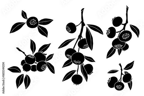 Silhouette,stamp of summer cherry berry fruits.Vector graphic.