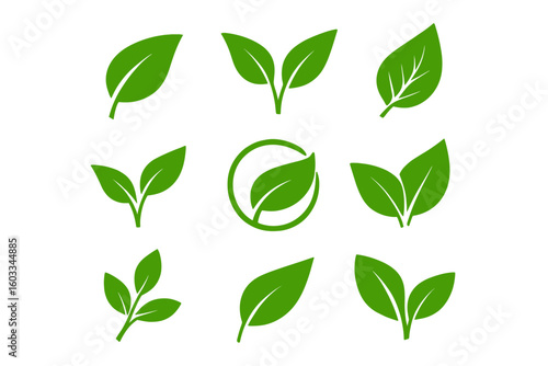 Green leaves icons set in flat style. Collection of leaf logos for graphic design. Environment, nature, eco sign. Organic, bio, vegan, healthy food, green product symbol.
