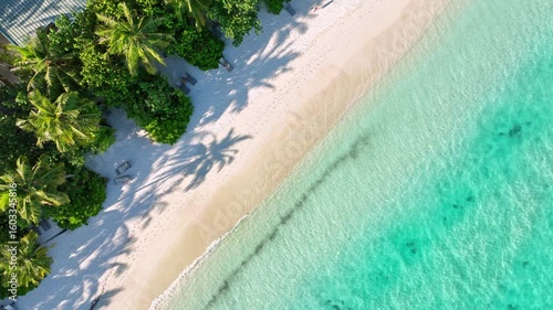 Paradise Island – Beachfront from Above with white sand and palm trees and clear water