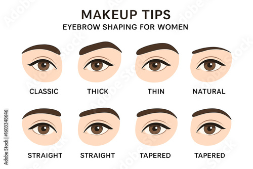Eyebrow shapes set. Female eye and brows shaping chart. Makeup tips for different types of brows: classic, thick, thin, natural, tapered. Beauty vector illustration guide.