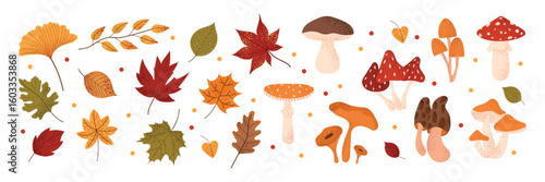 Big autumn set with mushrooms and fall leaves. Cute forest elements including fly agaric, chanterelle, boletus, and colorful foliage. Cozy seasonal collection in flat style.