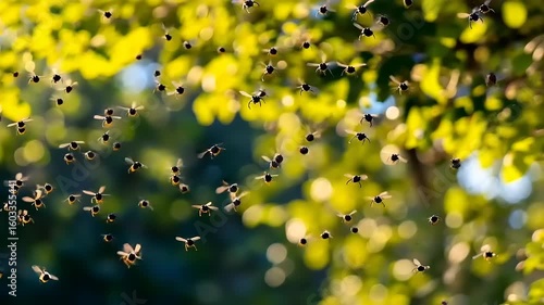 Dynamic Aerial Display: Swarm of Honeybees Dancing in Lush Green Canopy Setting