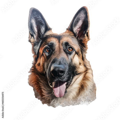 german shepherd dog
