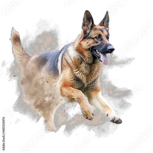 german shepherd dog