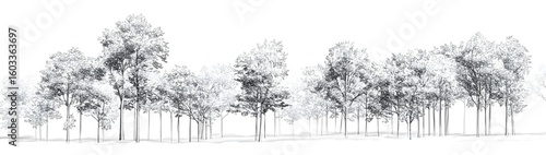 Outline trees in a vector forest design, featuring light linework and minimalist style against a plain white background.

