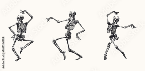 dancing skeletons in humorous poses set isolated hand drawn sketch card design element line art detailed vector illustration