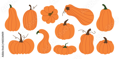 Orange pumpkin collection. Hand-drawn fall vegetables in various shapes. Cute autumn set perfect for Thanksgiving, Halloween, seasonal design. Flat vector illustration isolated on white background.