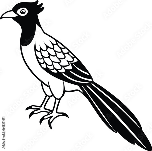 Vector illustration of a black silhouette of a bird on a branch