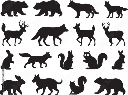 Bears wolves deer foxes rabbits squirrels wolf