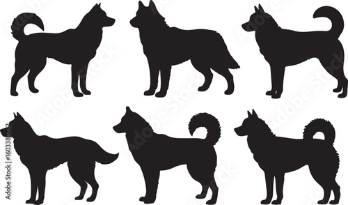 Black silhouettes of dogs standing and lying down canine animal