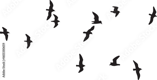 Flock of black birds soaring across white background flying