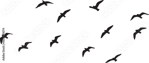 Flock of black birds soaring across white background flying wings