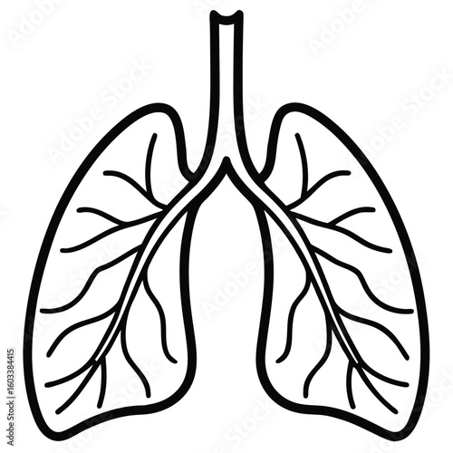 Simple line art illustration of human lungs showing bronchial tree structure for medical and educational purposes