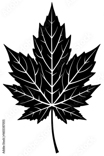 maple leaf silhouette