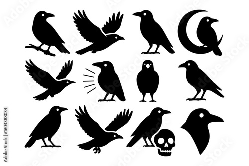 Silhouette collection of crows and ravens with moon and skull elements