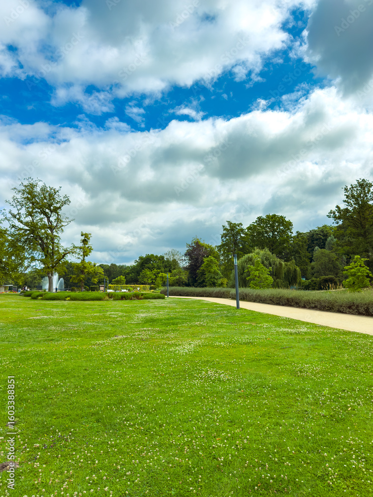 Fototapeta premium Immerse yourself in a tranquil park landscape, where the lush green grass meets a beautifully cloudy sky, creating a serene atmosphere perfect for relaxation and outdoor activities