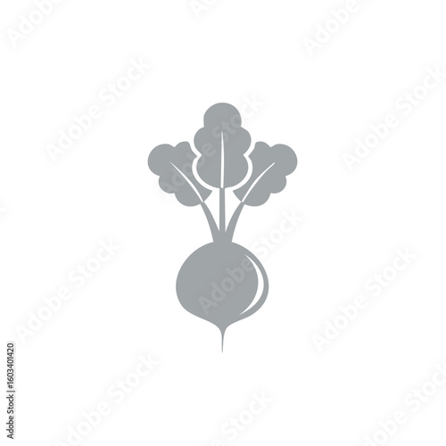 Isolated stylized drawing of a beet root vegetable with leaves on a white background for healthy recipes