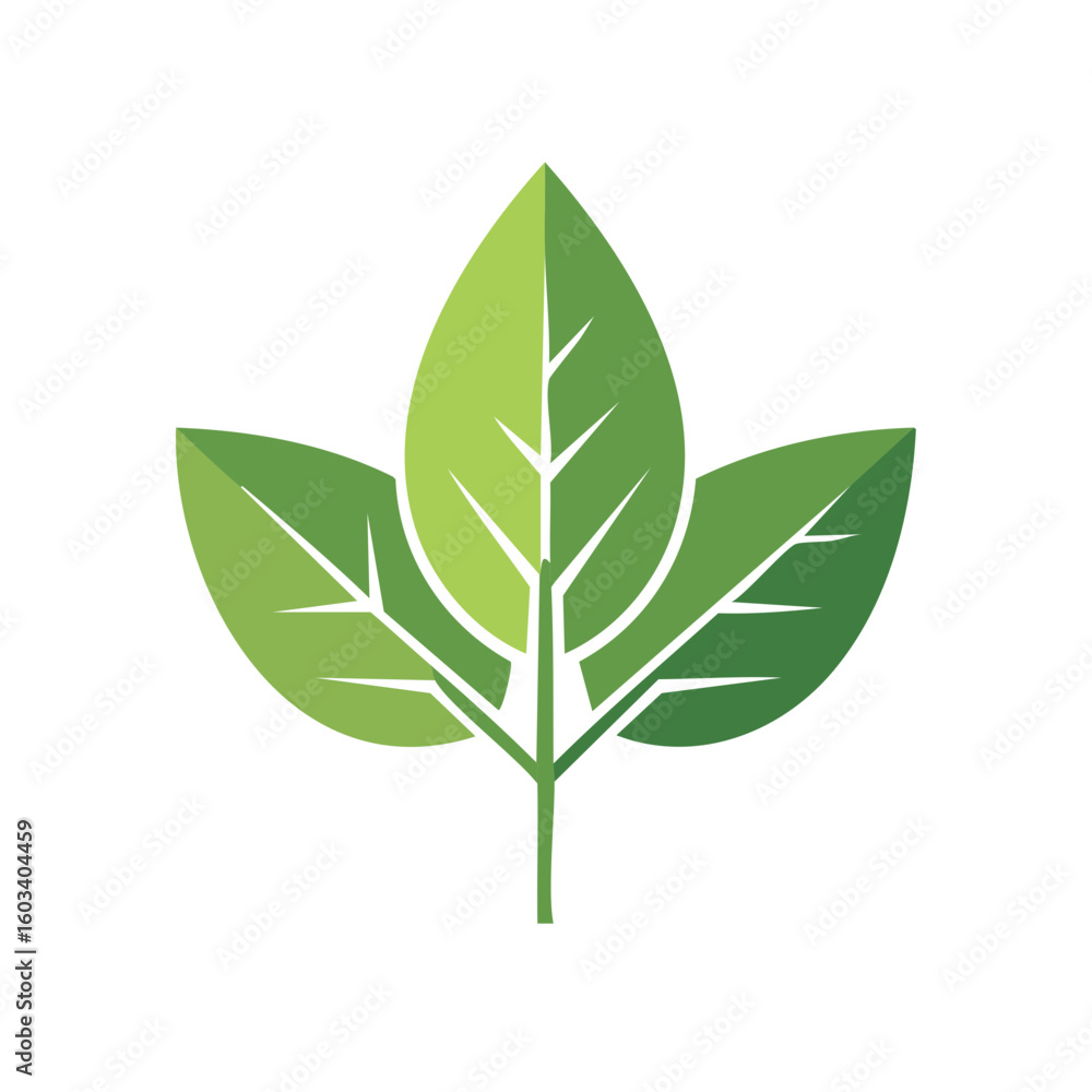 Green Leaf Logo Icon for Nature, Plant, or Eco Design Concepts Green Leaf Logo Icon for Nature, Plant, or Eco Design Concepts