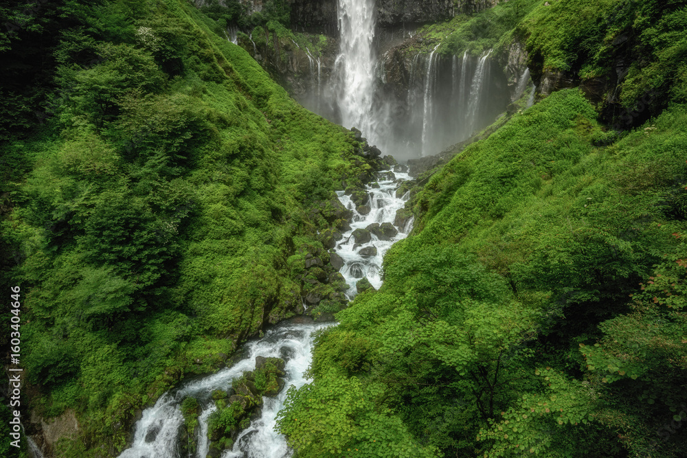 Obraz premium 新緑の日光華厳の滝