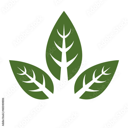 Three green leaves artful design. Plant motif. Leafy design. Nature concept. Eco logo. Simple elegant greenery. Forest elements.