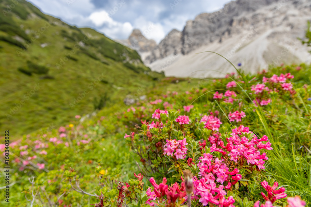 Obraz premium Alps mountains scenic landscape in summer. Austrian Alps scenery trekking path in Lechtal, Lechtaler Alps near Landeck Zams and Sankt Anton alpine village. Green mountain valleys rocky peaks and lake