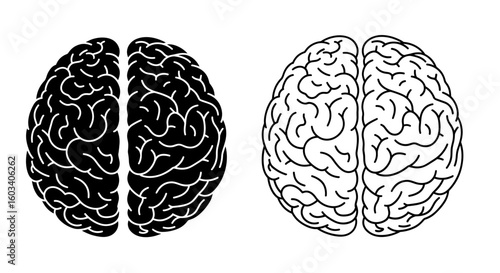 Illustration showing two brains one in black and one in white on a white background